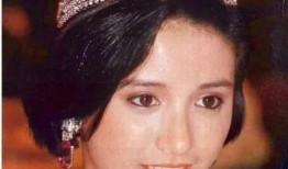 嫁入豪门在线观看,揭秘嫁入豪门背后的精彩人生